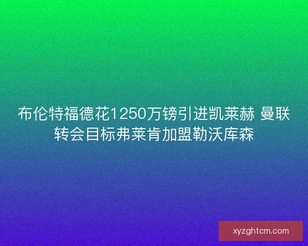 布伦特福德花1250万镑引进凯莱赫 曼联转会目标弗莱肯加盟勒沃库森